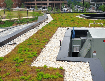 Green Roof