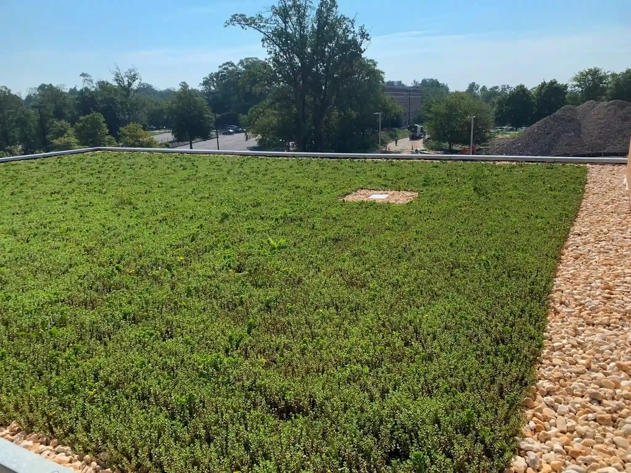 Grass Roof