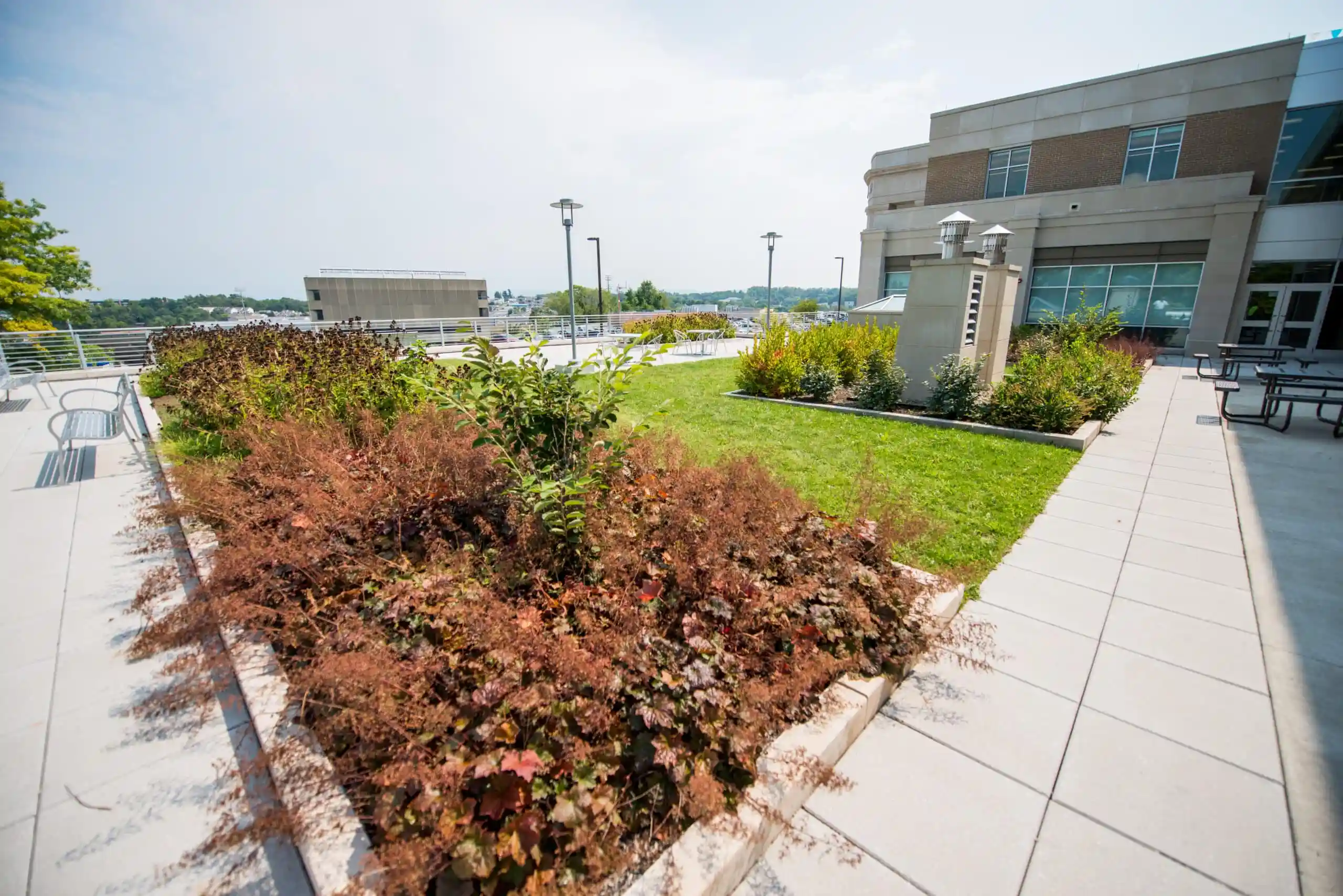 Landscaped green roof terrace featuring a vegetative planting bed of reddish-brown ornamental shrubs and a grass lawn, bordered by paved walkways with benches and picnic tables, next to a stone building with decorative chimney vents overlooking the surrounding cityscape.